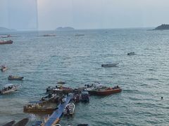 -广东惠东海龟国家级自然保护区