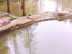 -云溪植物园