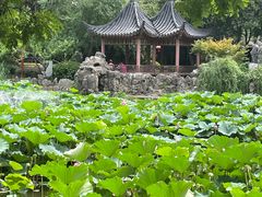 -郑和公园