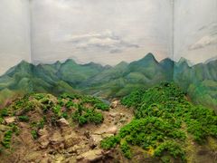 -陕西自然博物馆