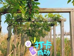 -前小桔亲子创意农场·草莓采摘·露营烧烤