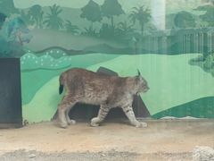 -昆明动物园