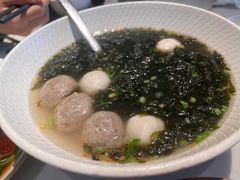 -MR鹅外