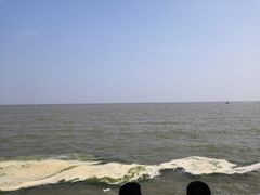 -刘家湾赶海园