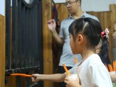 -骑乐马术(广州奥体优托邦中心)