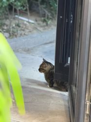 -恐龙·美甲美睫