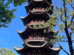 -龙华素斋(龙华路店)