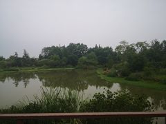 -桤木河湿地公园