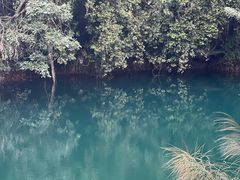 -鼎湖山风景区