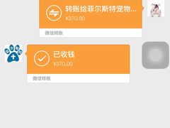 -菲尔斯特宠物医院