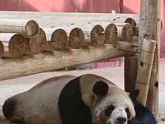 -杭州野生动物世界