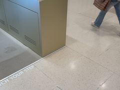 -乐天免税店(明洞店)