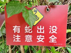 -桃花岭景区