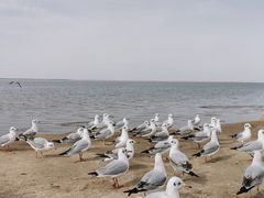 -西台吉乃尔湖