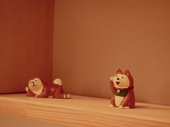 -南京Hallo宠物乐园·哈罗犬舍·柴犬繁育基地