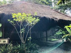 -大象粑粑造纸公园