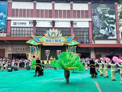 -西双版纳原始森林公园