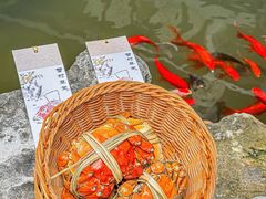 -蟹村草堂·苏式园林人文农家·大闸蟹