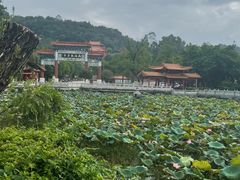 -南国桃园旅游度假区