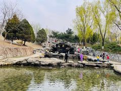 -青龙湖公园