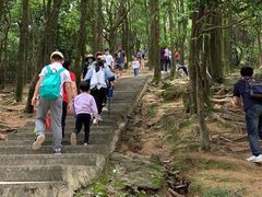 -火炉山森林公园