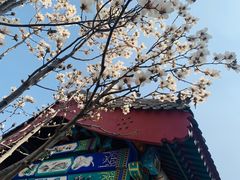 -西海子公园
