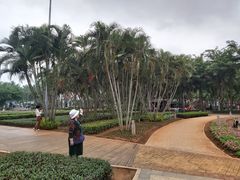 -万绿园