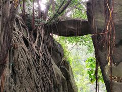 -乌山风景区