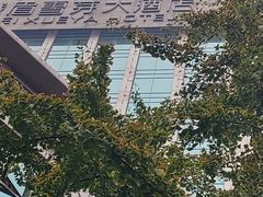 -成都峨眉雪芽大酒店