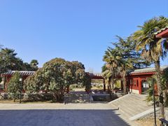 -洛阳古墓博物馆