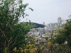 -佛山华盖山公园