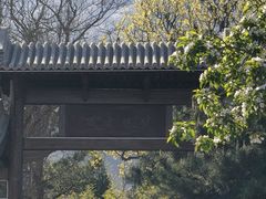 -阳台山自然风景区