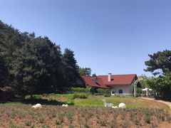 -云峰山自然风景区
