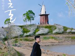 -金卉庄园