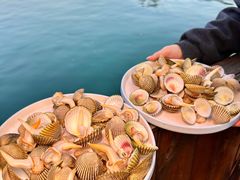 -蓝湾碧波·老字号·疍家非遗海上餐厅