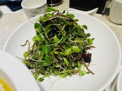 -紫光园(顺义店)