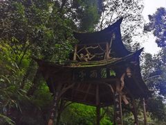 -青城山
