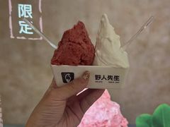 -野人先生现做冰淇淋(北京王府井东方新天地店)