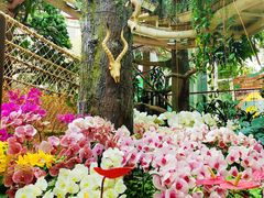-正佳雨林生态植物园