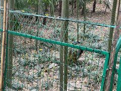 -南山风景名胜区