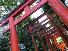 -上野公园花园稻荷神社(忍岡稲荷神社)