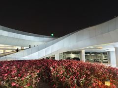 -哈尔滨大剧院