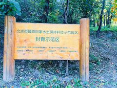 -北京鹫峰国家森林公园