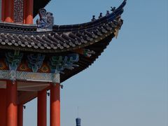 -黄贤森林公园
