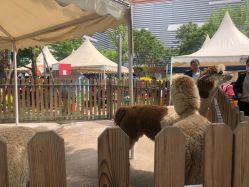 -萌宠亲子动物乐园(槐房万达店)