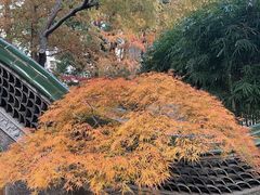 -申粤轩酒楼·三十年粤菜经典(丁香花园店)