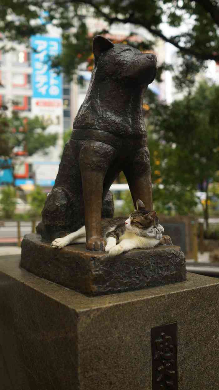 忠犬八公像-"n次来涩谷但好像第一次和忠犬八公像合影.