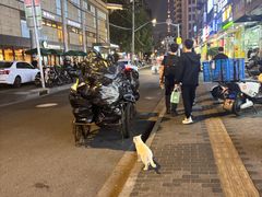 -振鼎鸡(福州路店)