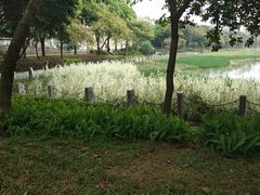 -南宁南湖公园