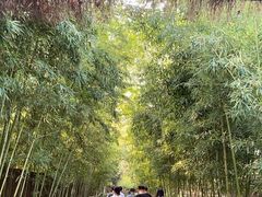 -新荣记(西溪湿地店)